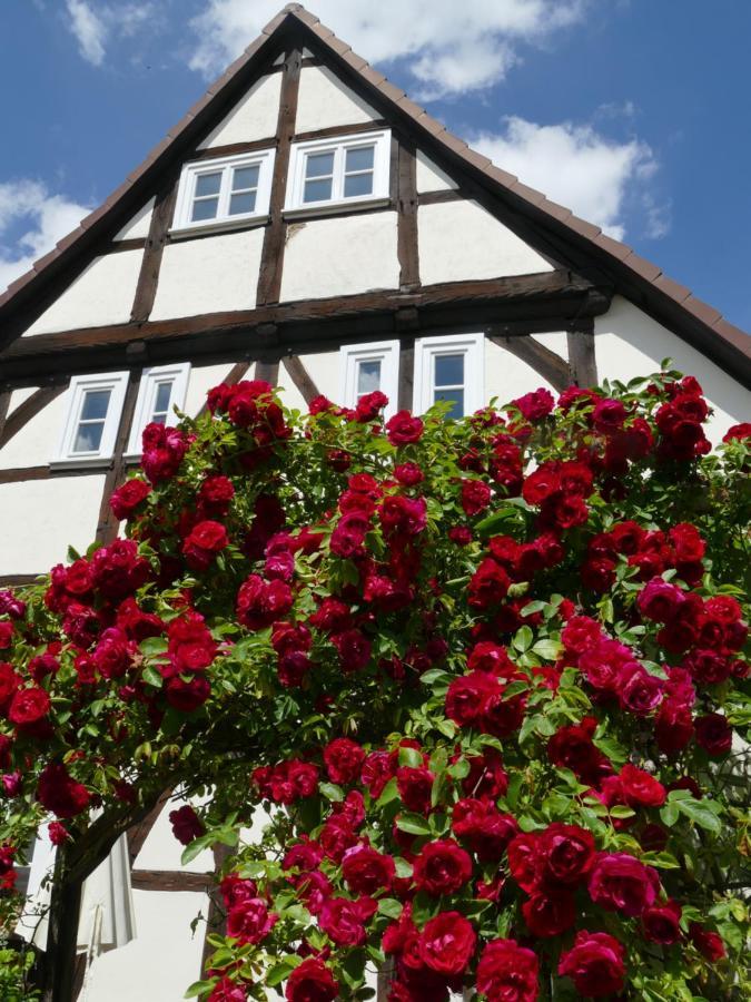 Schoner Wohnen In Volkmarsen Apartment Exterior photo